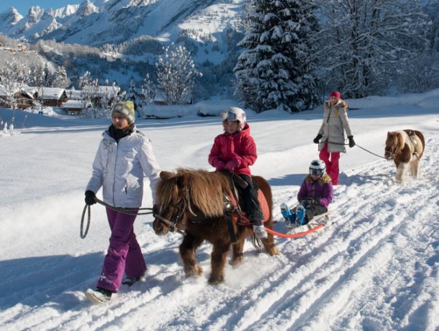  Trenó de pónei nas montanhas 